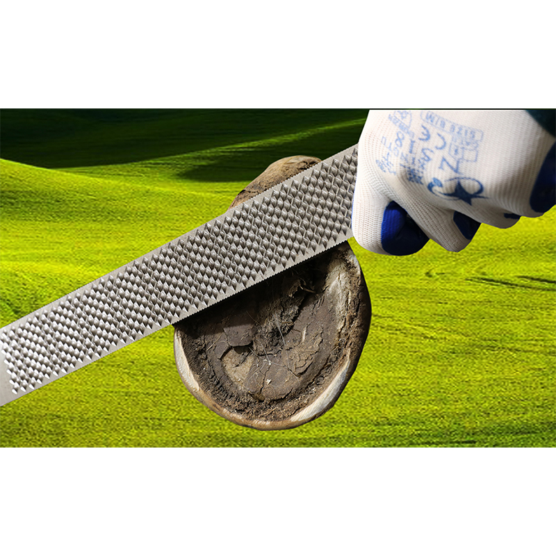 Horse Hoof Rasp
