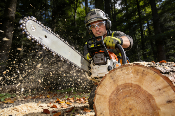 Forestry and logging maintenance